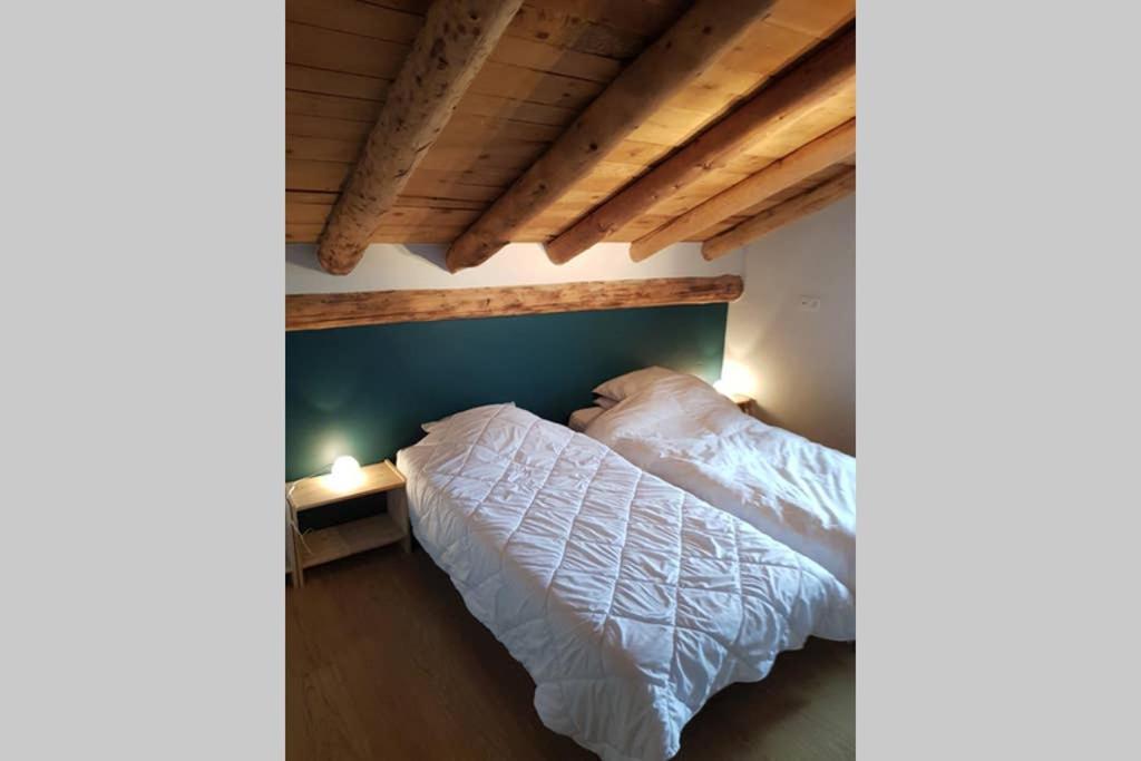 Chalet A La Montagne 10 Places 4 Chambres ボヌヴァル・シュル・アルク エクステリア 写真