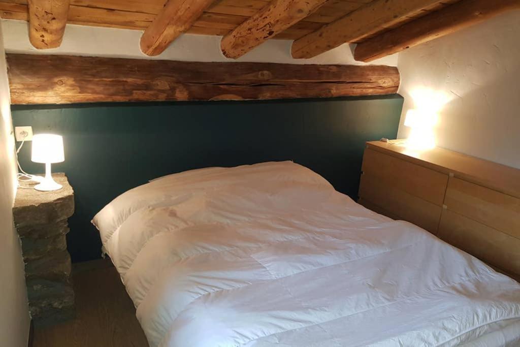 Chalet A La Montagne 10 Places 4 Chambres ボヌヴァル・シュル・アルク エクステリア 写真